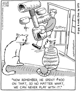 brevity